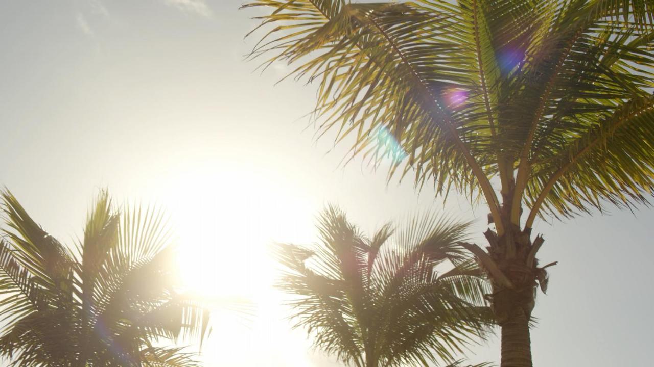 Secrets Riviera Cancun Resort & Spa (Adults Only) 莫雷洛斯港 外观 照片